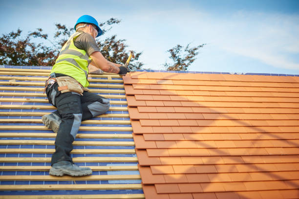 Best Skylight Installation and Repair  in Stiles, PA